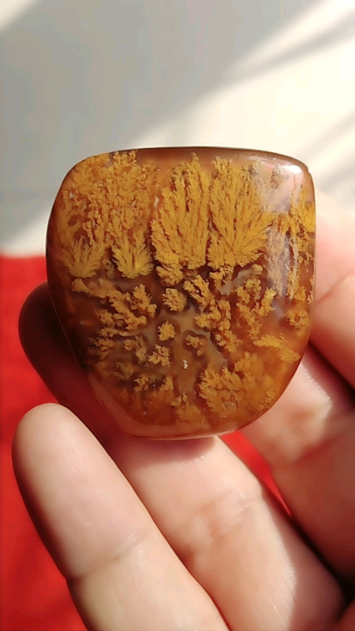 上谷战国红玛瑙天然水草吊坠