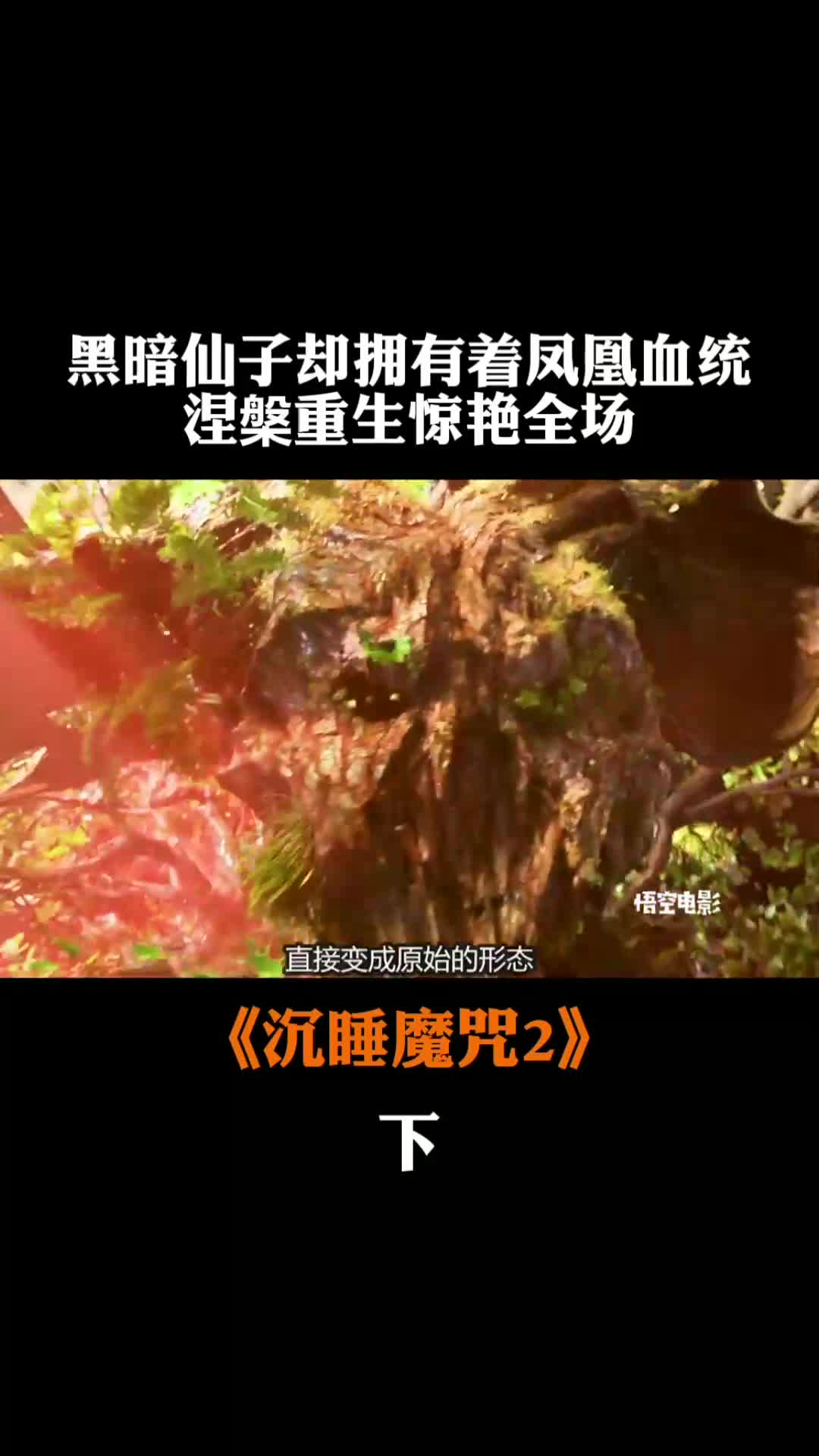 影视女子拥有高强魔法是黑仙族一员死后化为黑凤凰