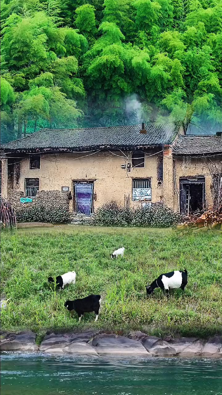 人家,依山傍水远繁华,无为不做俗尘事,轻煮岁月慢煮茶,隐居,治愈,乡村