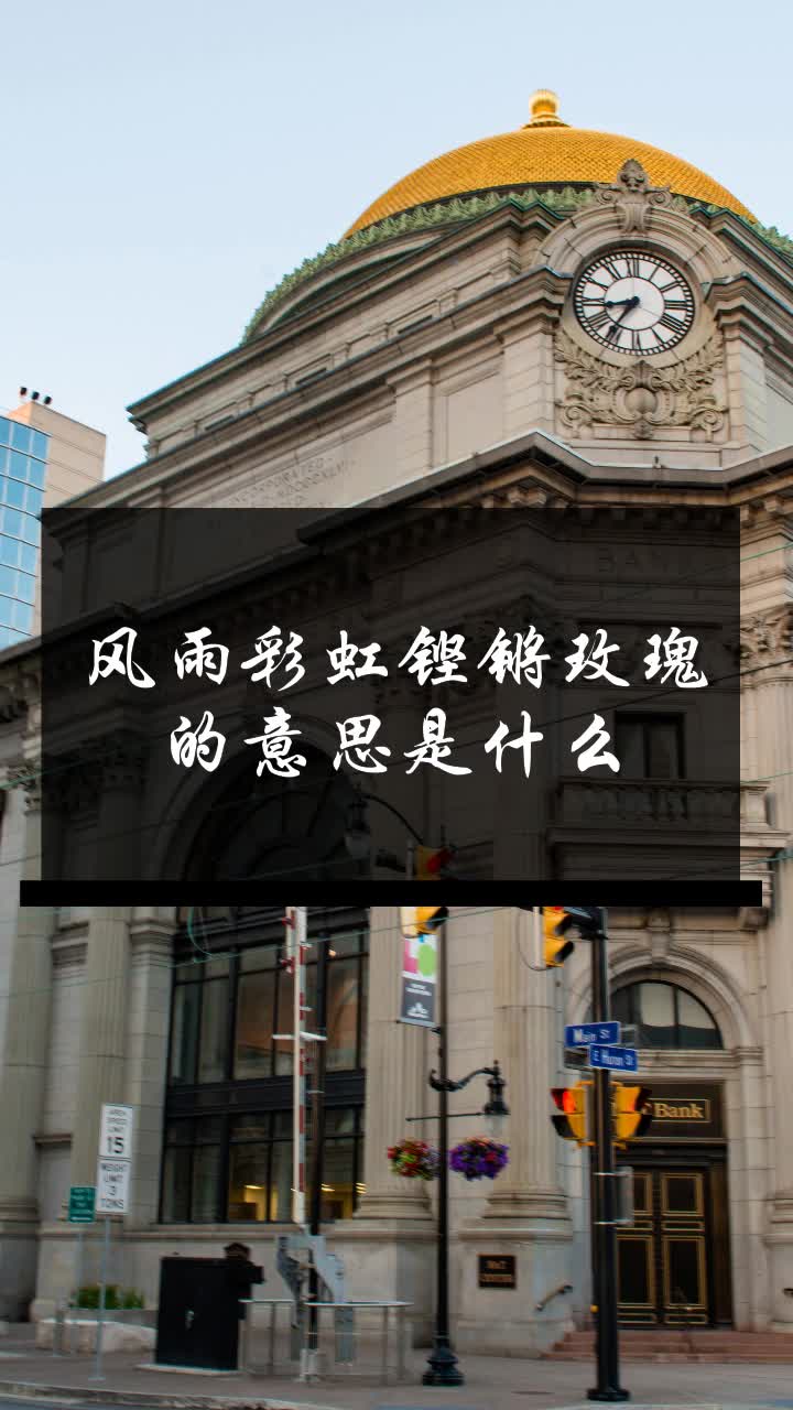 风雨彩虹铿锵玫瑰的意思是什么