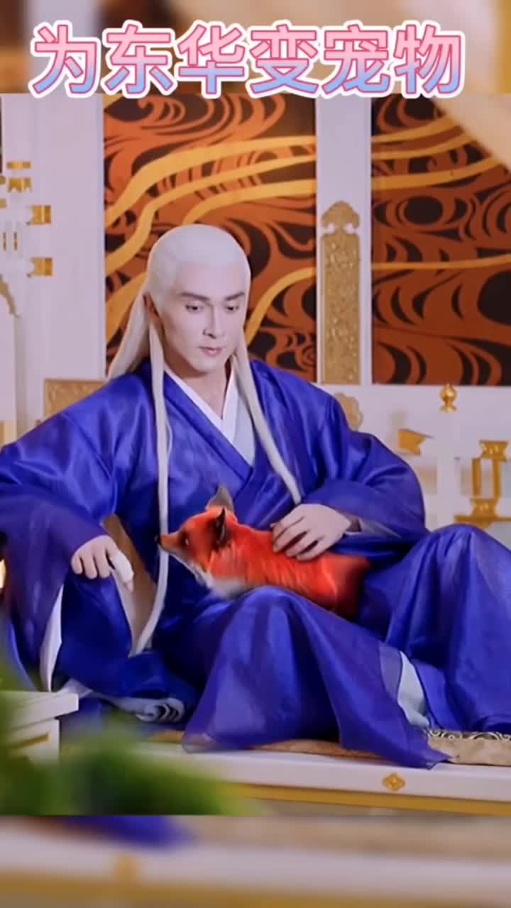 我们青丘九尾狐一族认定一个人就是生生世世