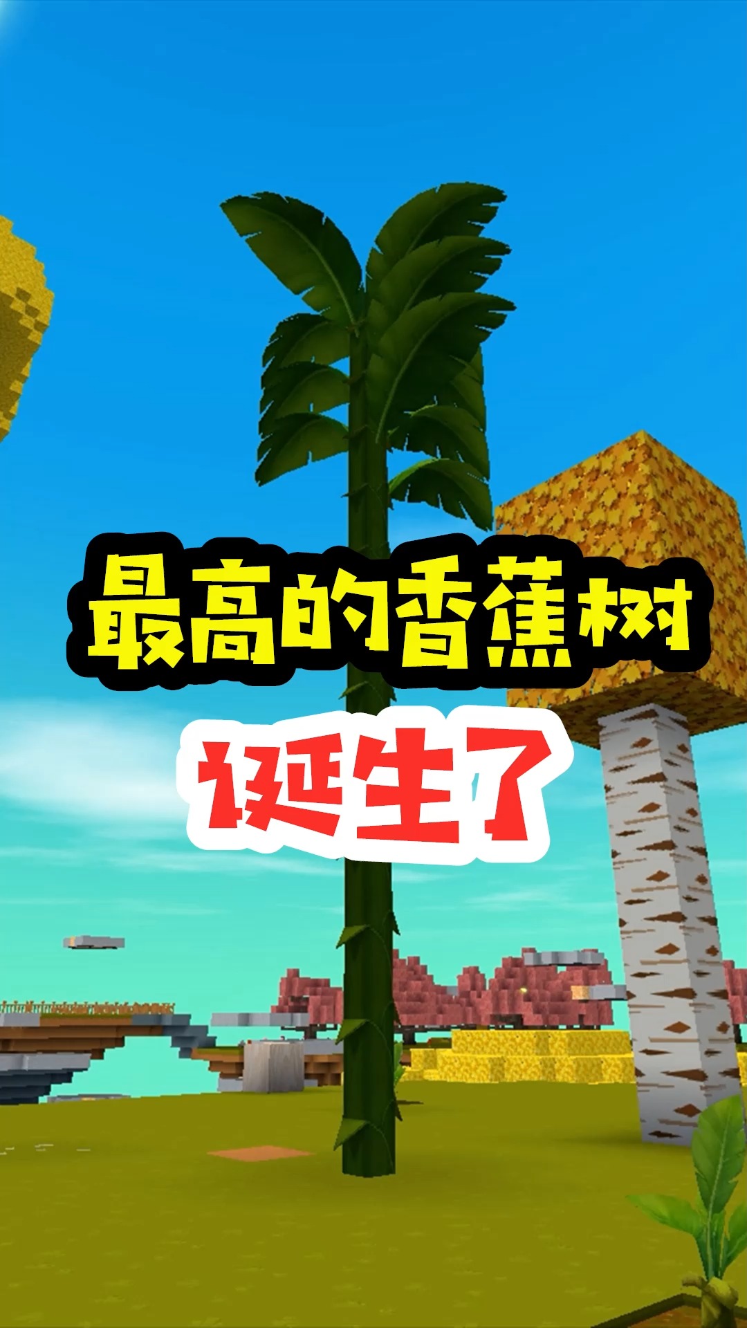 迷你世界王木薯极限空岛198手动组装最高的香蕉树