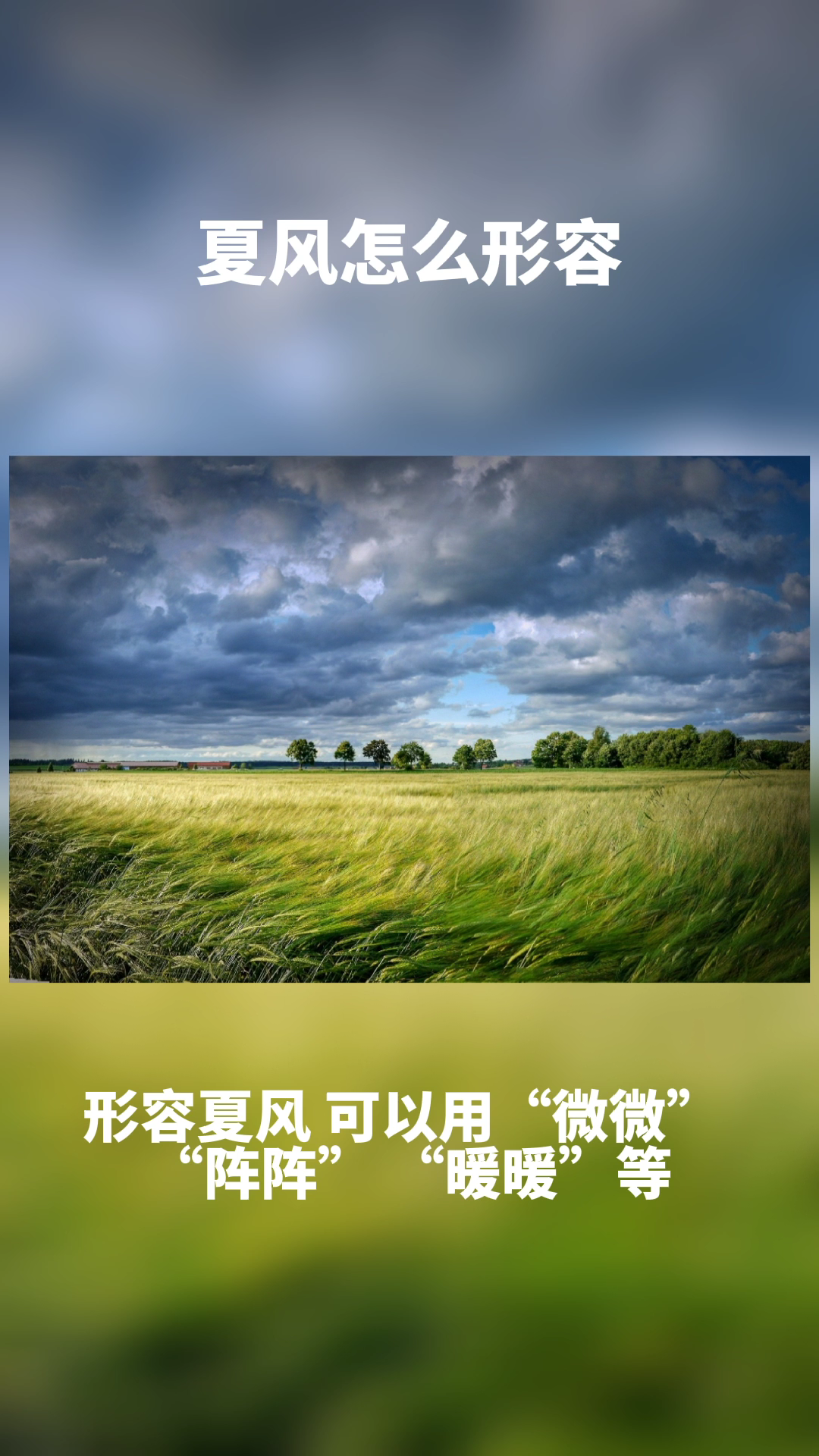 夏风怎么形容,可以用阵阵等词