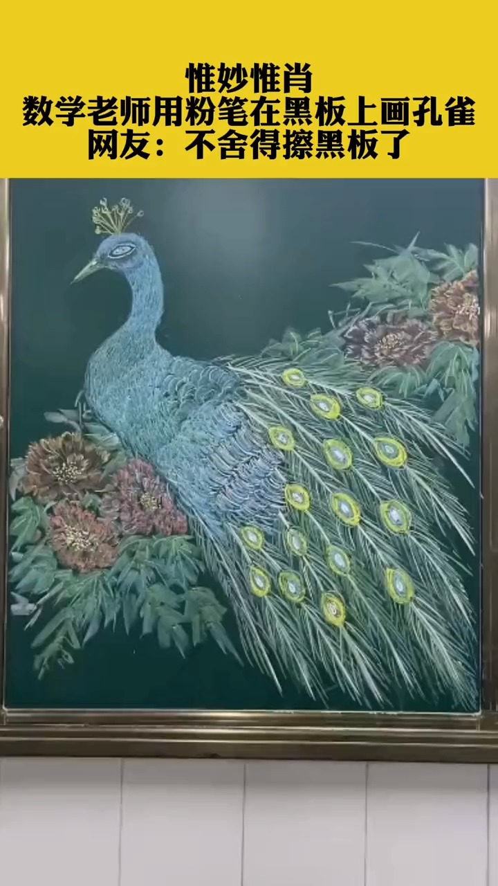 惟妙惟肖!数学老师用粉笔在黑板上画孔雀,网友:不舍得擦黑板了