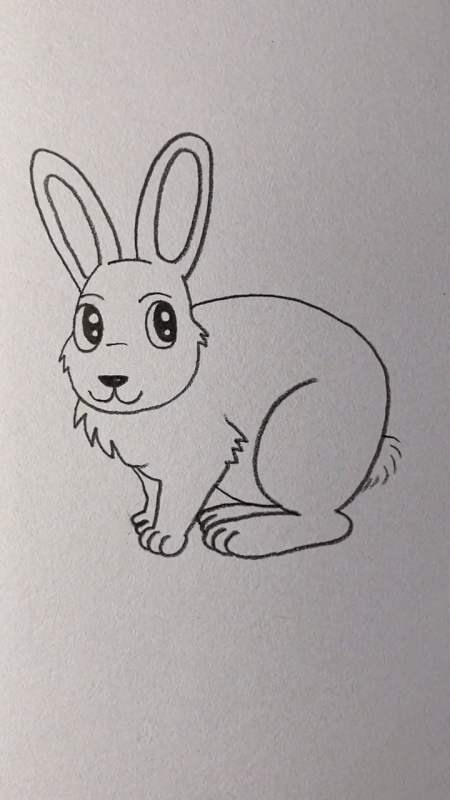 白兔画画最简单图片