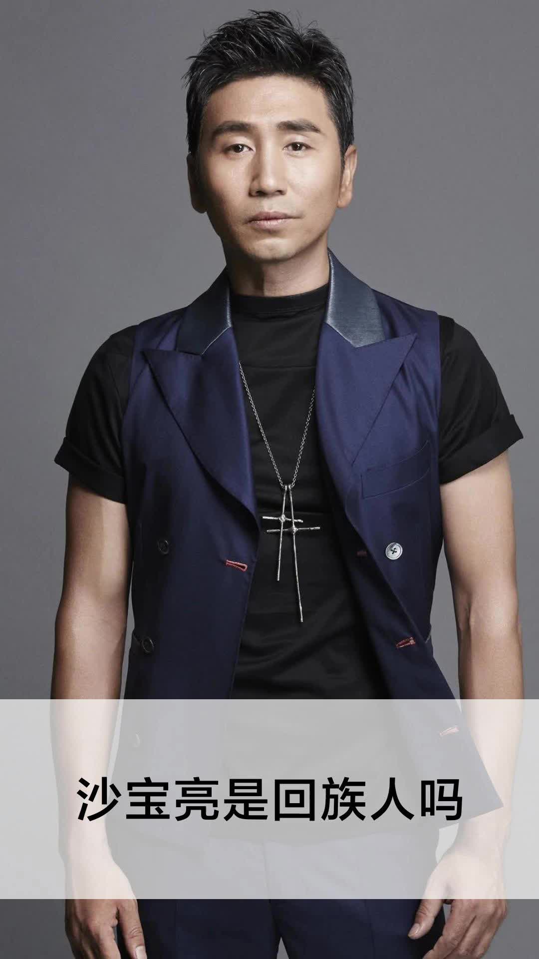 沙宝亮是回族人吗