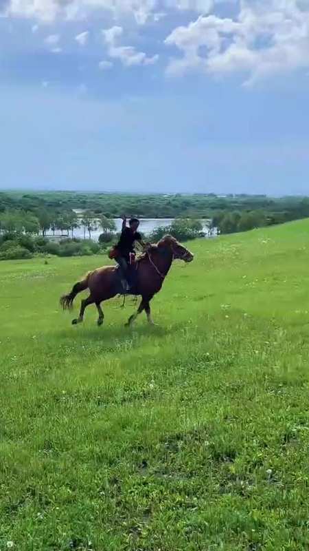 让我们红尘做伴活的潇潇洒洒策马奔腾共享人世繁华