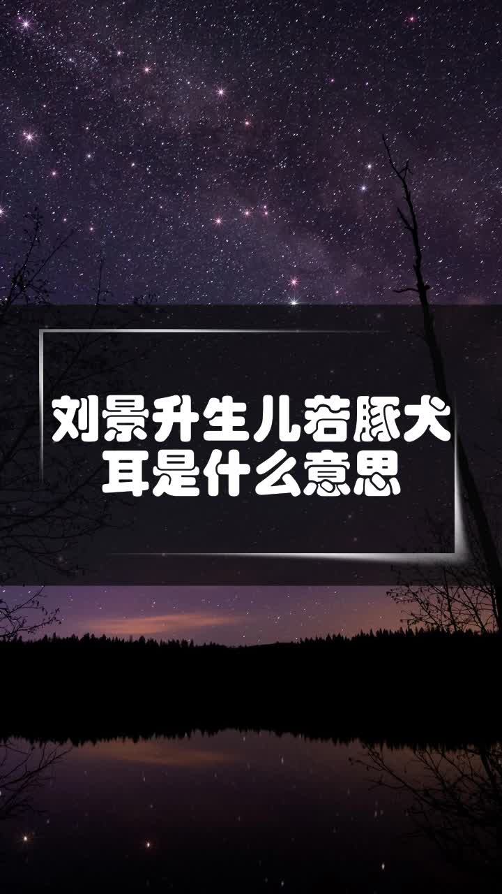 刘景升生儿若豚犬耳是什么意思