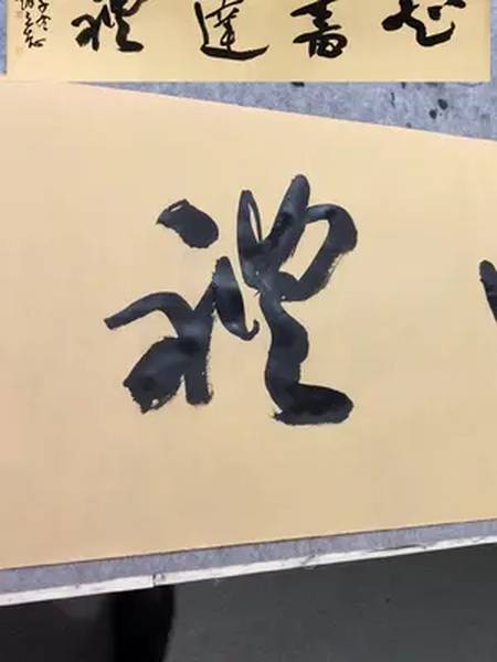 赵立志书法 #书法 #行书-全民小视频