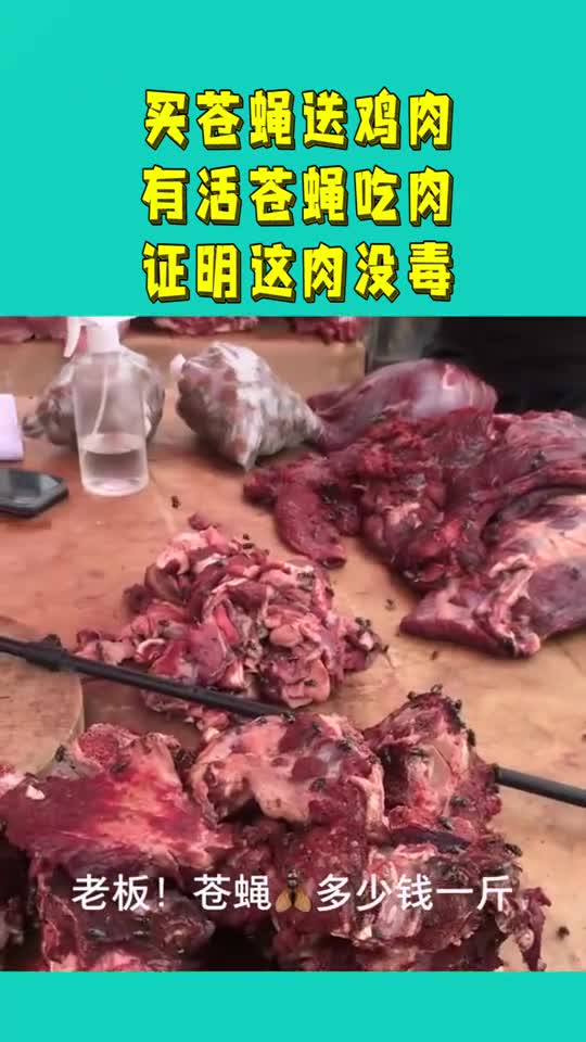 买苍蝇送鸡肉有活苍蝇吃肉证明这肉没毒