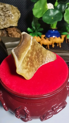 罗布泊地表蛋白原石