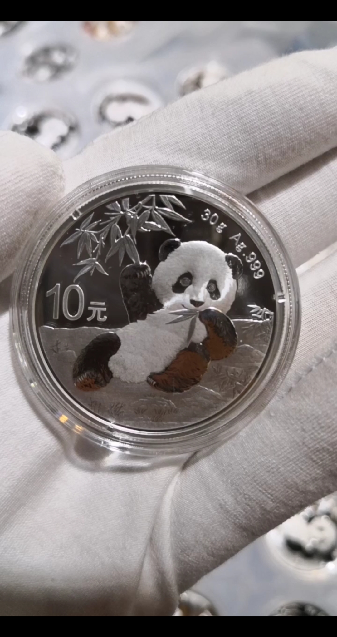 2020年熊猫银币30克规格