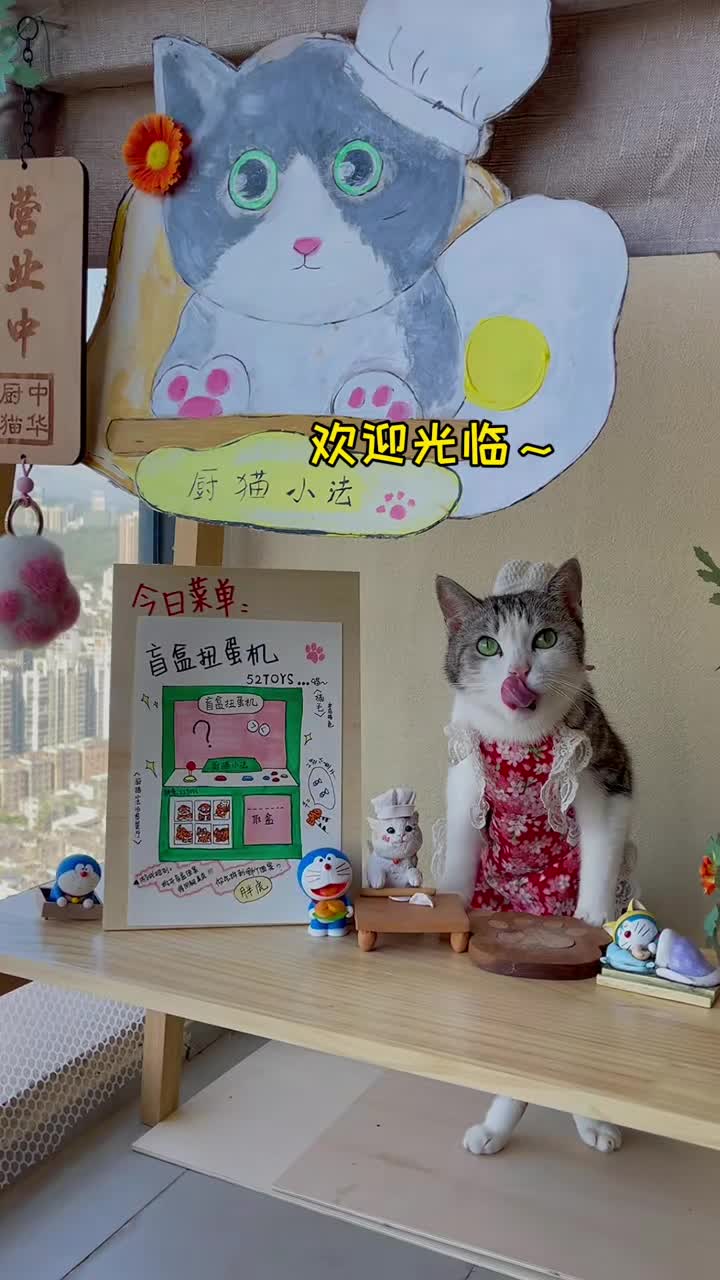 会做饭的猫#猫咪自制盲盒扭蛋机,处处是惊喜-度小视
