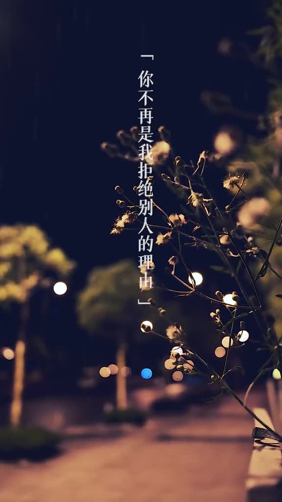 我就不要了,往后余生,你不再是我拒绝别人的理由#情感文字#走心语录