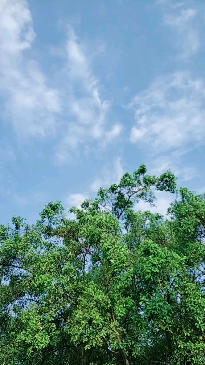 风清气爽,云卷云舒