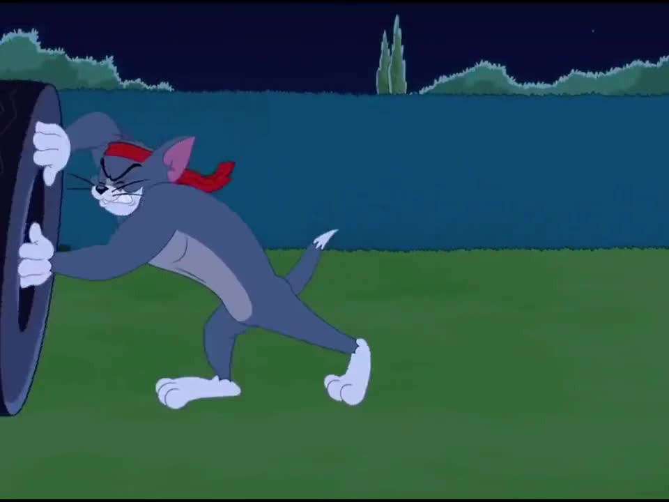 猫和老鼠#自律的汤姆有多强