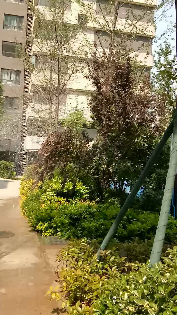 在家云旅游#绿化家园