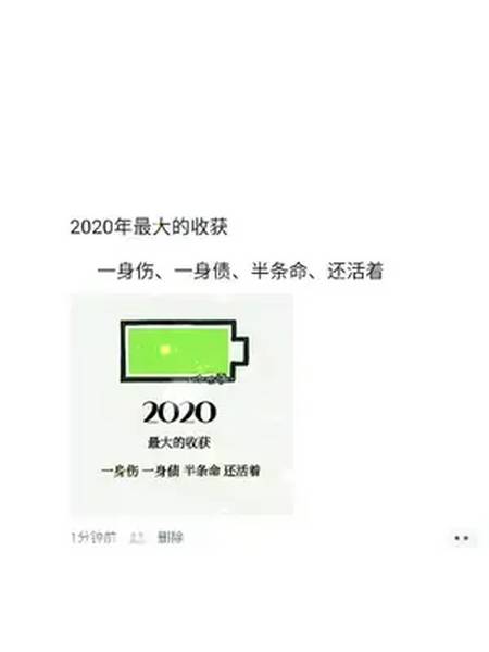 2020年最大的收获一身伤一身债半条命还活着2020朋友圈背景图我要上
