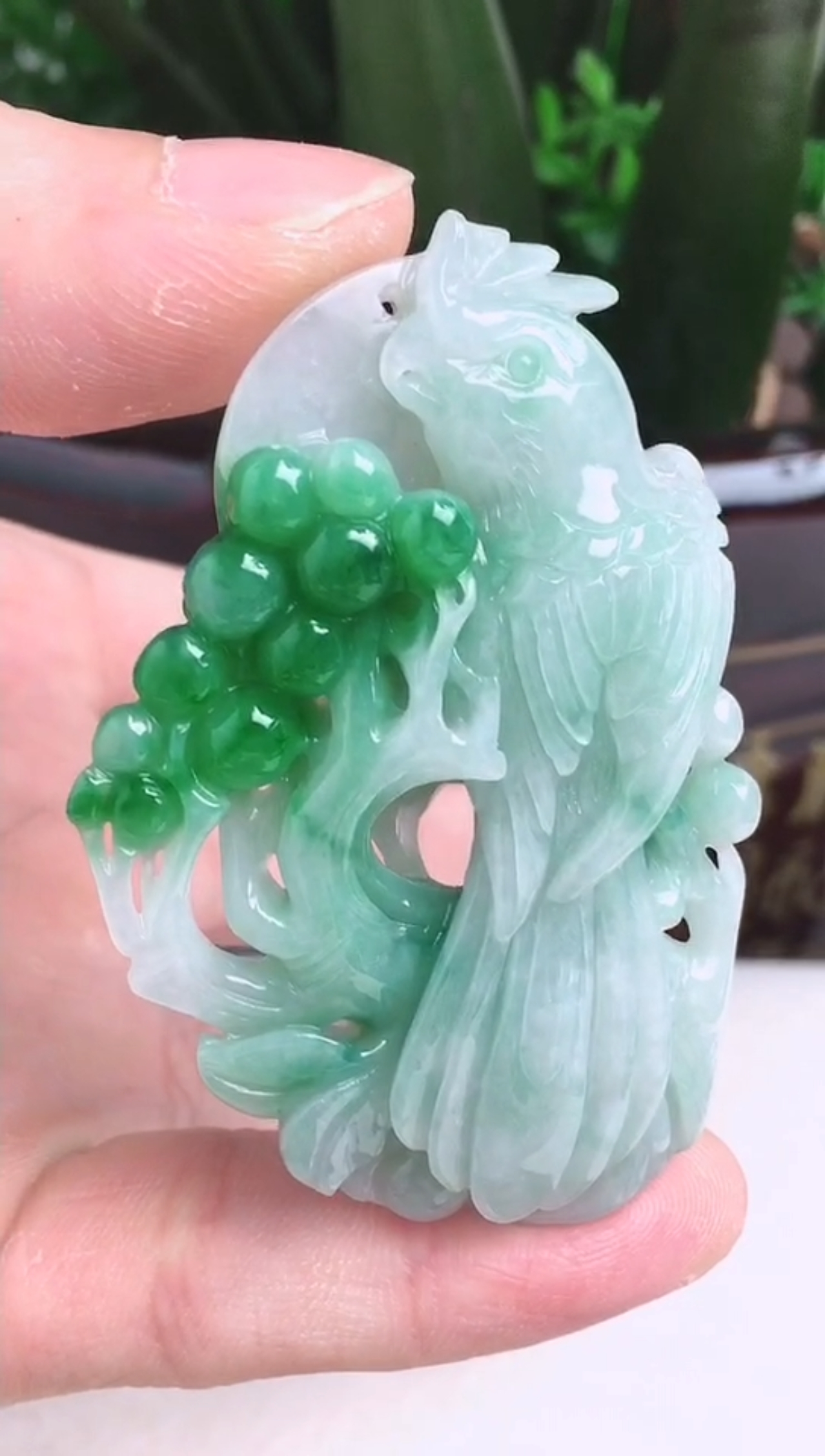 缅甸翡翠精美水润   绿色鹦鹉  英明神武(鹉) 玉质细腻 工艺精湛 种老