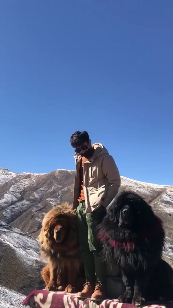 要什么小奶狗,要做就做大狼狗,这样你要的安全感,我们仨都有,安排