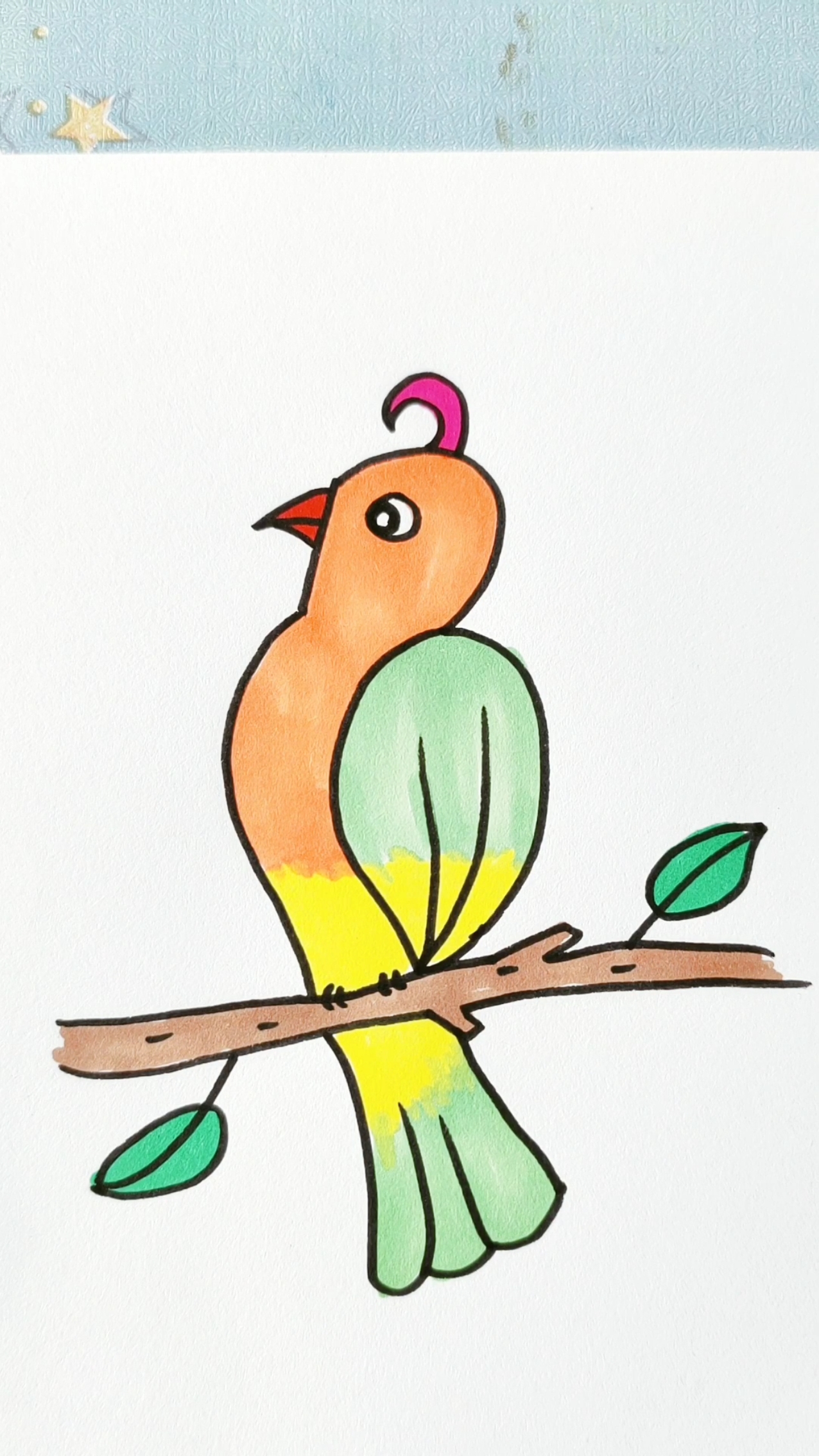 简笔画#教宝宝画小鸟