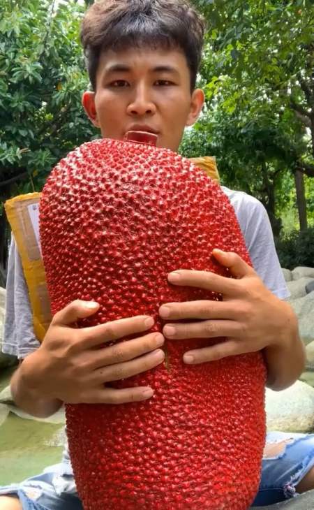 红色的菠萝蜜还是第一次见,用力撕开,原来里面是这样的!