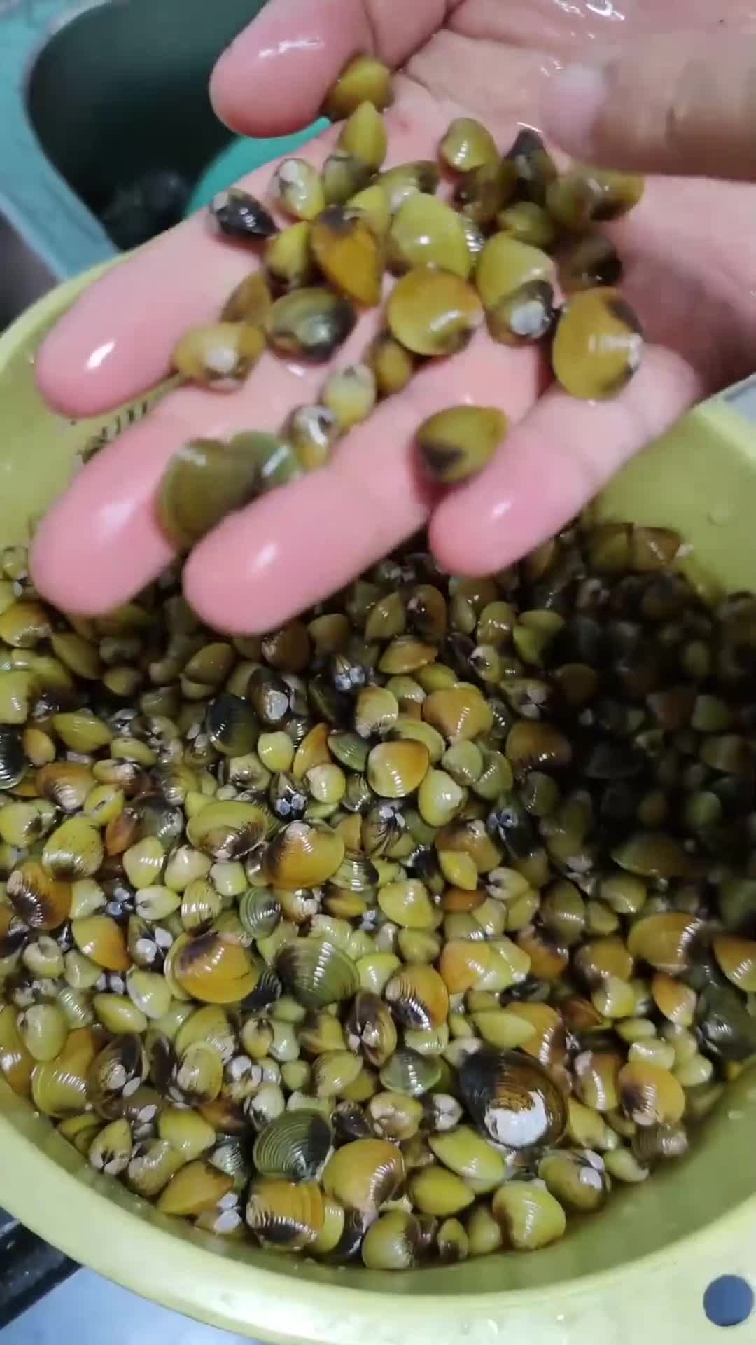 捞沙最新视频播放网站_捞沙巷美食图片