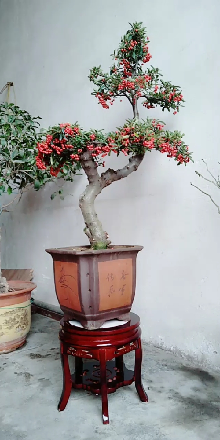 晒年货#祝您在2020腰缠万贯 祝您在2020吉祥如意 吉 吉 吉