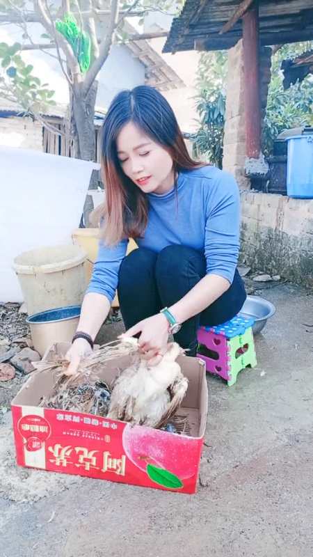 来我家吃饭杀鸡等你记录农村生活