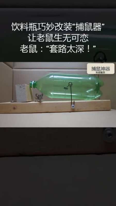塑料瓶制作一个捕鼠神器老鼠已经生无可恋了老鼠"人类套路太深"科技