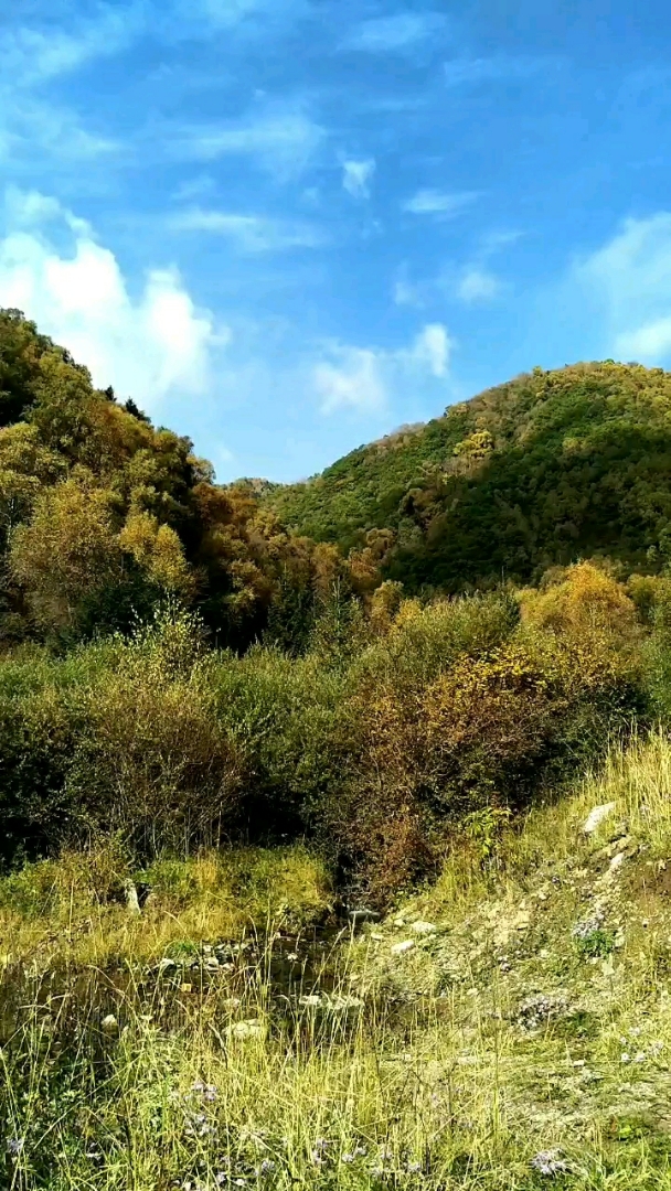 延时摄影:高山上流云