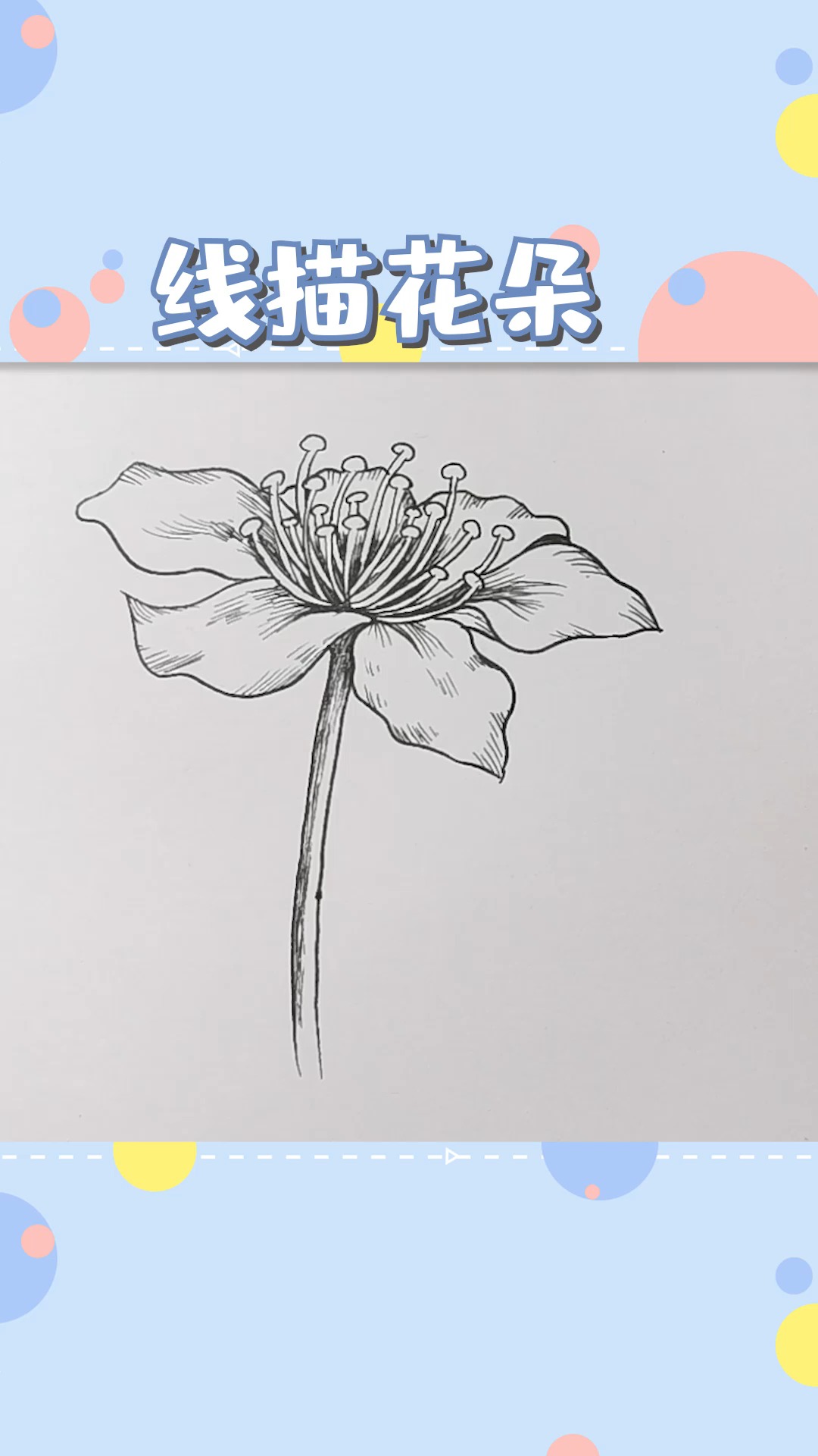 绘画#黑白线描手绘:花朵,看着复杂画起来很简单!