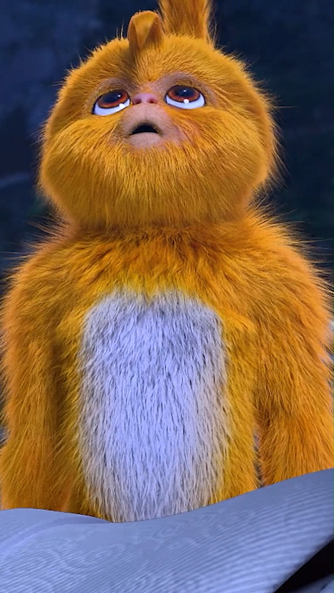 毛球搞笑表情包合集,这小家伙啥都懂就是不会说话 #完美世界 #国漫萌