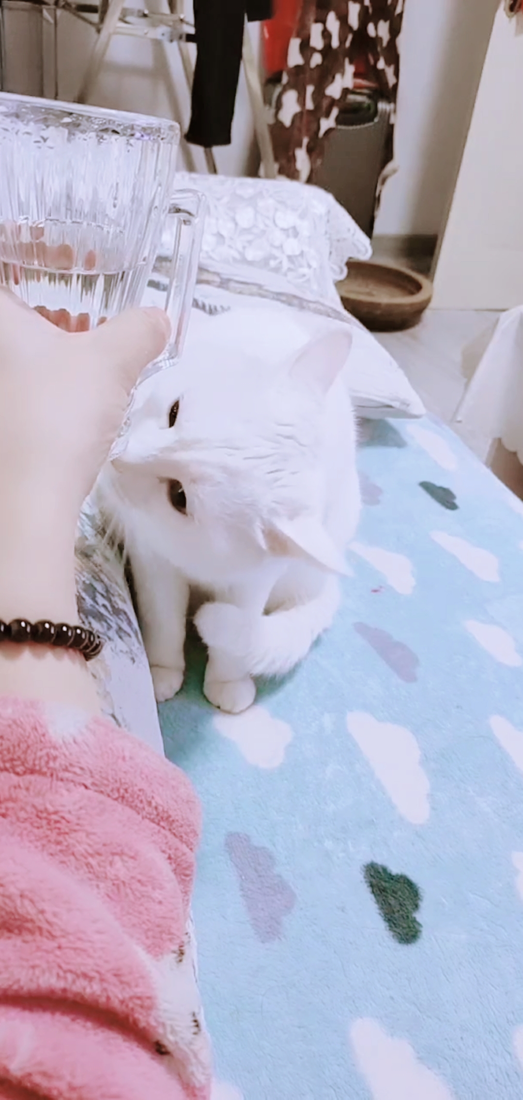 我是白喵喵#你闻到什么味了呀