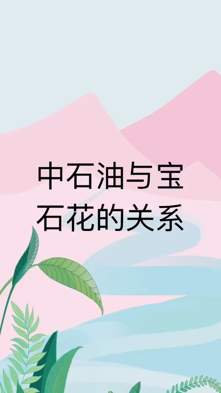 我来告诉你 中石油与宝石花的关系