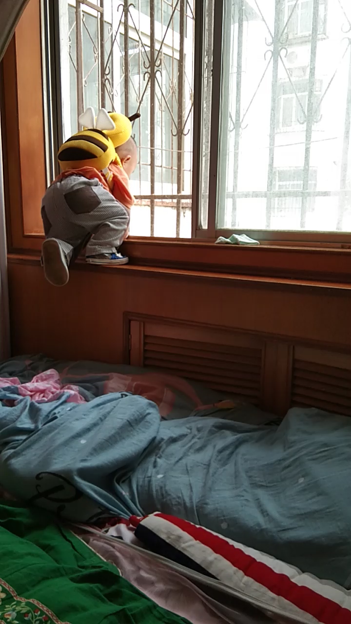 宝宝天天爬窗户,戴个小蜜蜂防摔