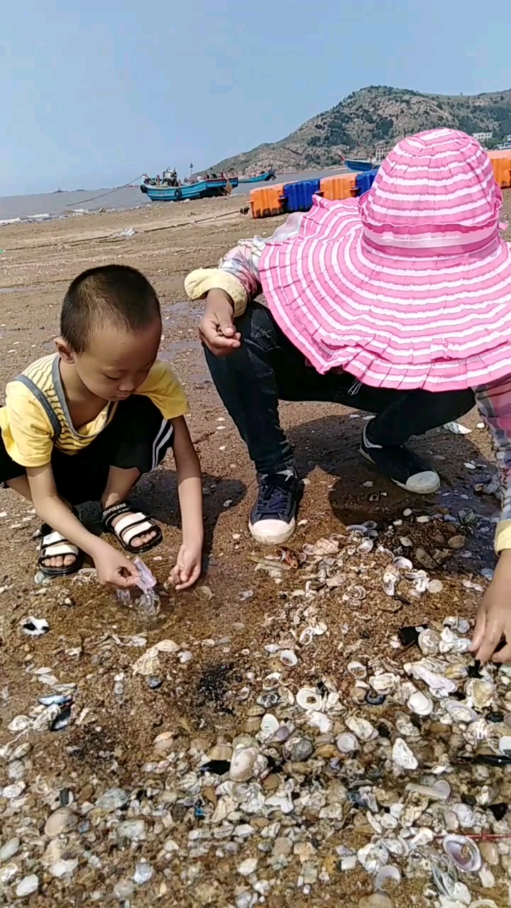 李官龙王庙赶海