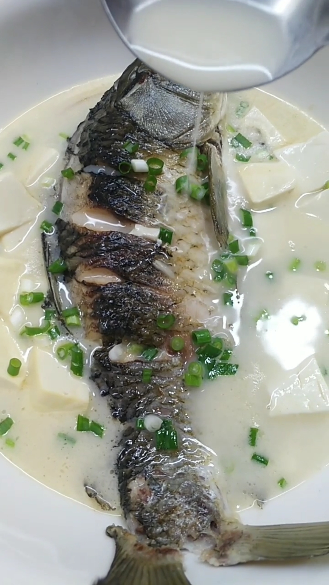 家常菜#奶色鲫鱼汤教程