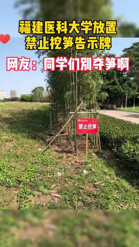 福建医科大学放置禁止挖笋告示牌,网友:别夺笋啊-全民小视频
