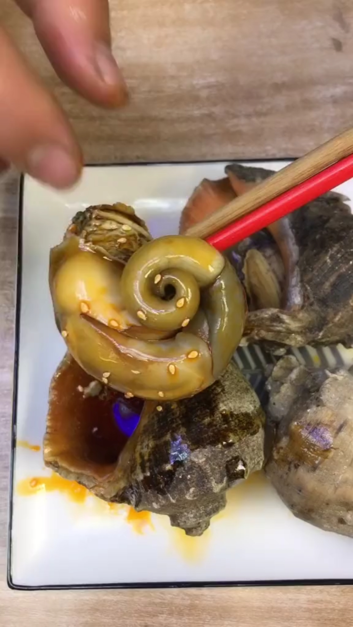 吃海螺#教你吃海螺,哪些不可以吃!