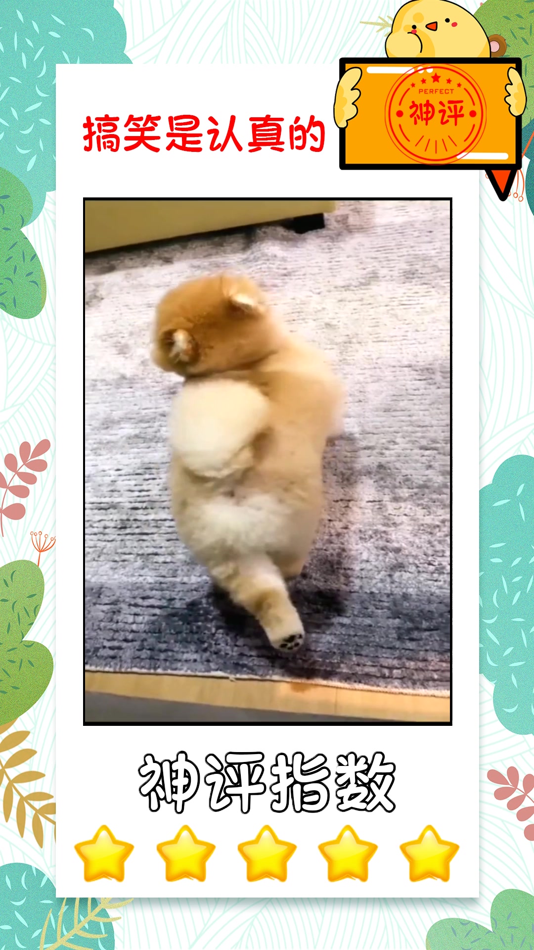 搞笑段子管住嘴迈开腿从此身材像魔鬼狗子都开始运动了