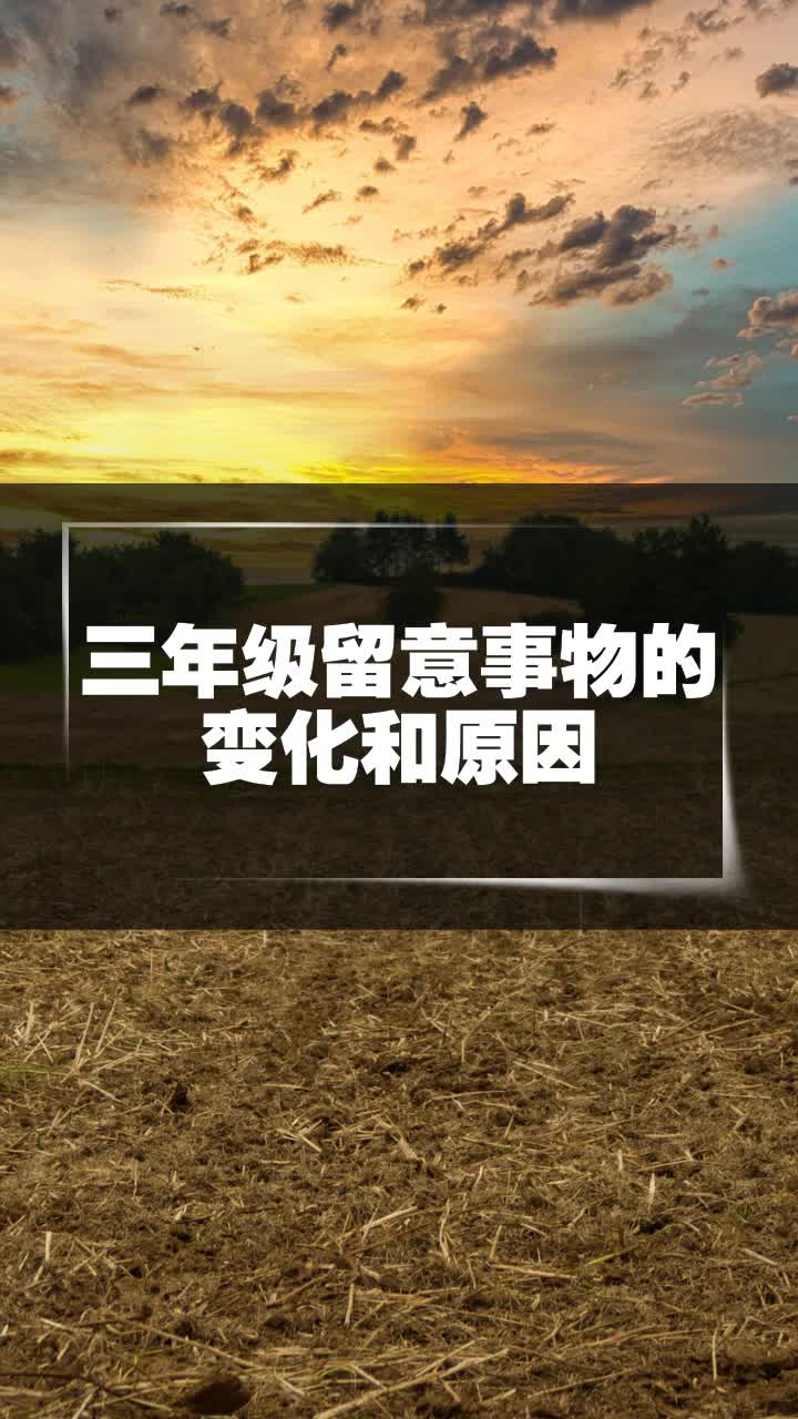 三年级留意事物的变化和原因