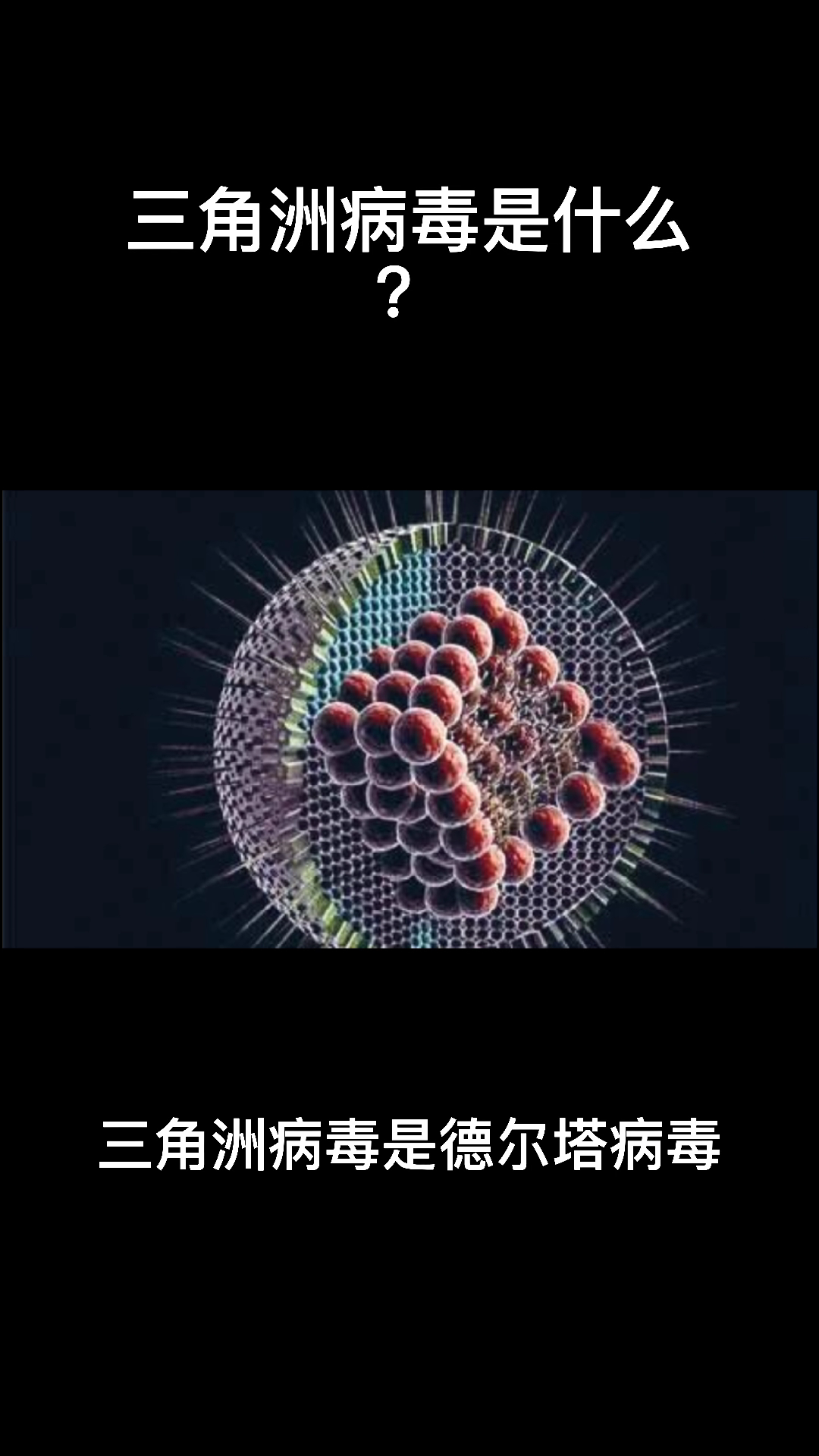 三角洲病毒是什么