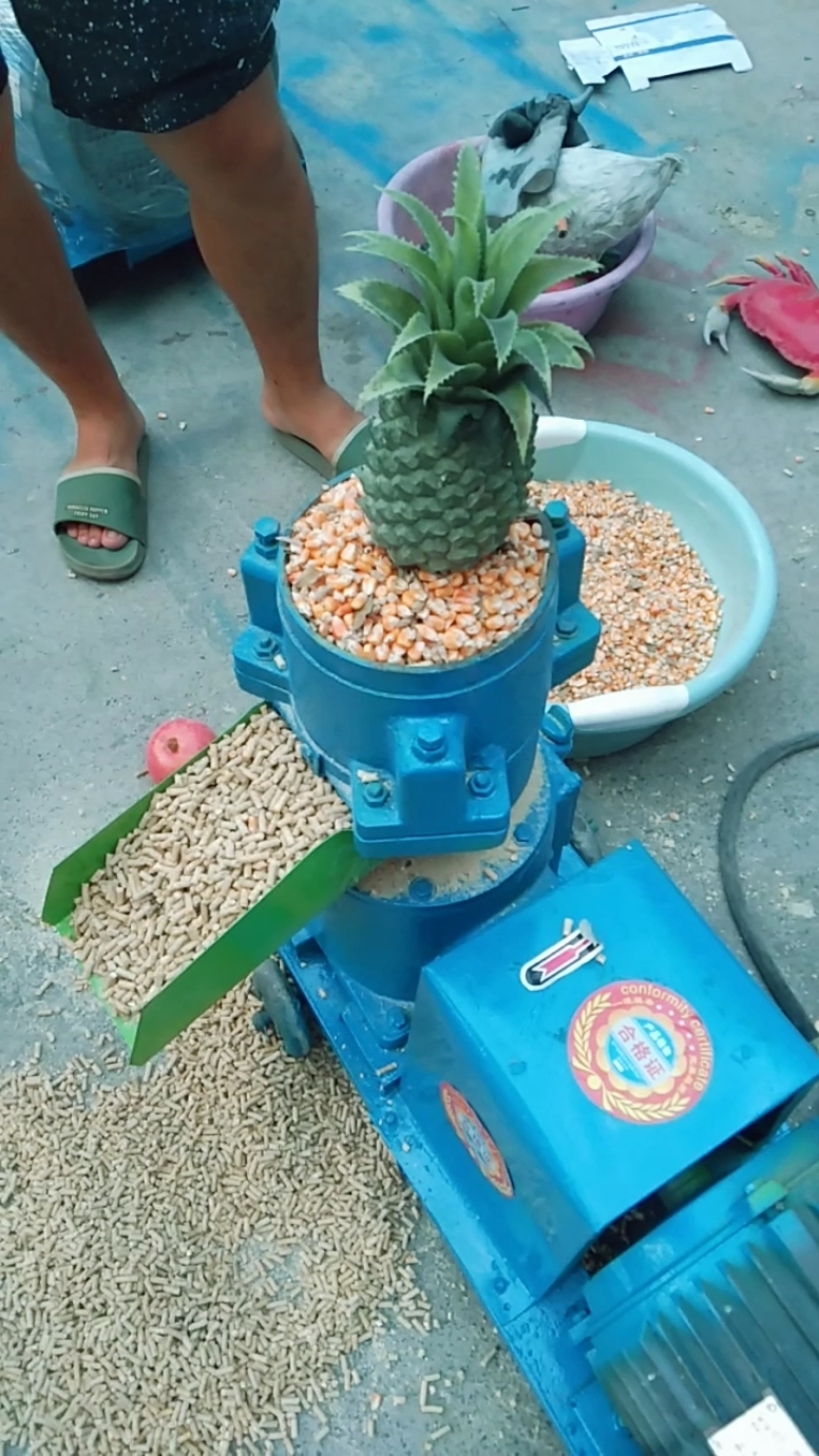 家用小型颗粒机,玉米制作颗粒,时产五百斤