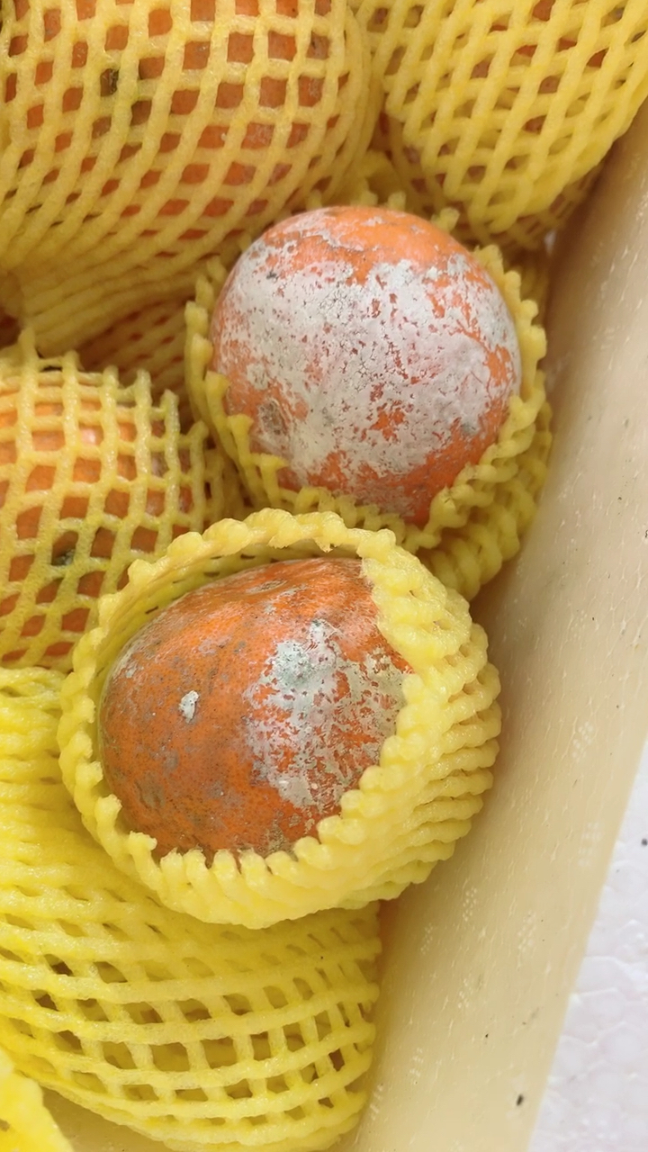 买了一箱坏橘子,打开的一瞬间惊讶了