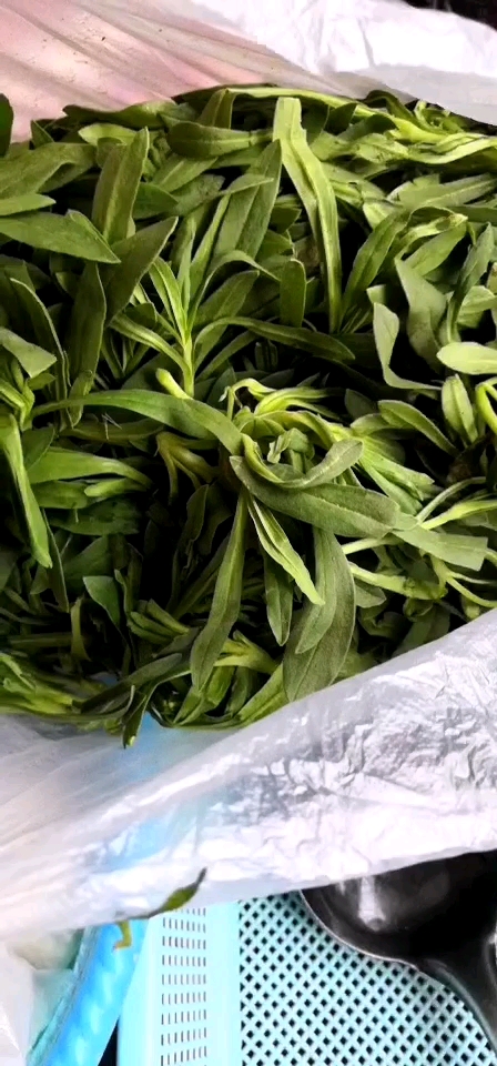 食神大pk#最新鲜的时令野菜-"面条子阔",大饭店蒸一盘要38元.