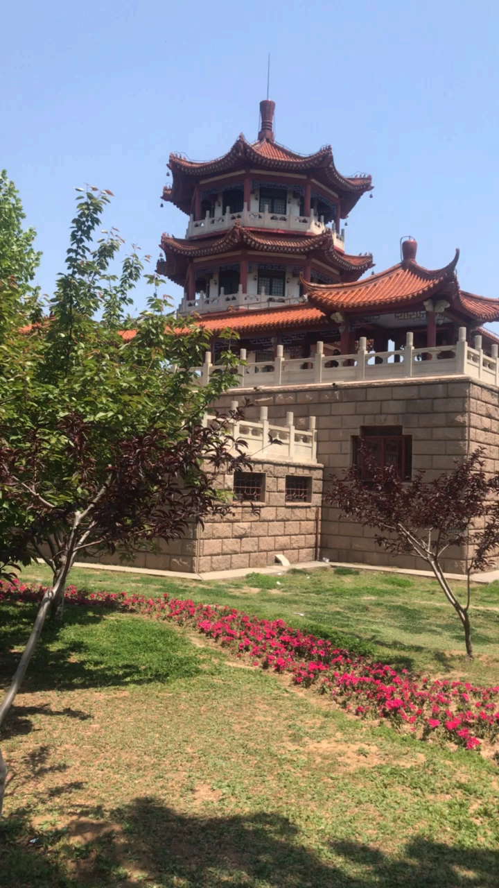 全民特效师#高密凤凰公园