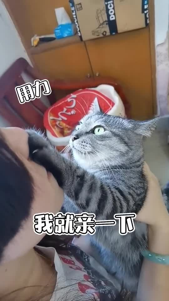 jiojio把我脸都踩扁了亲一下太不容易了