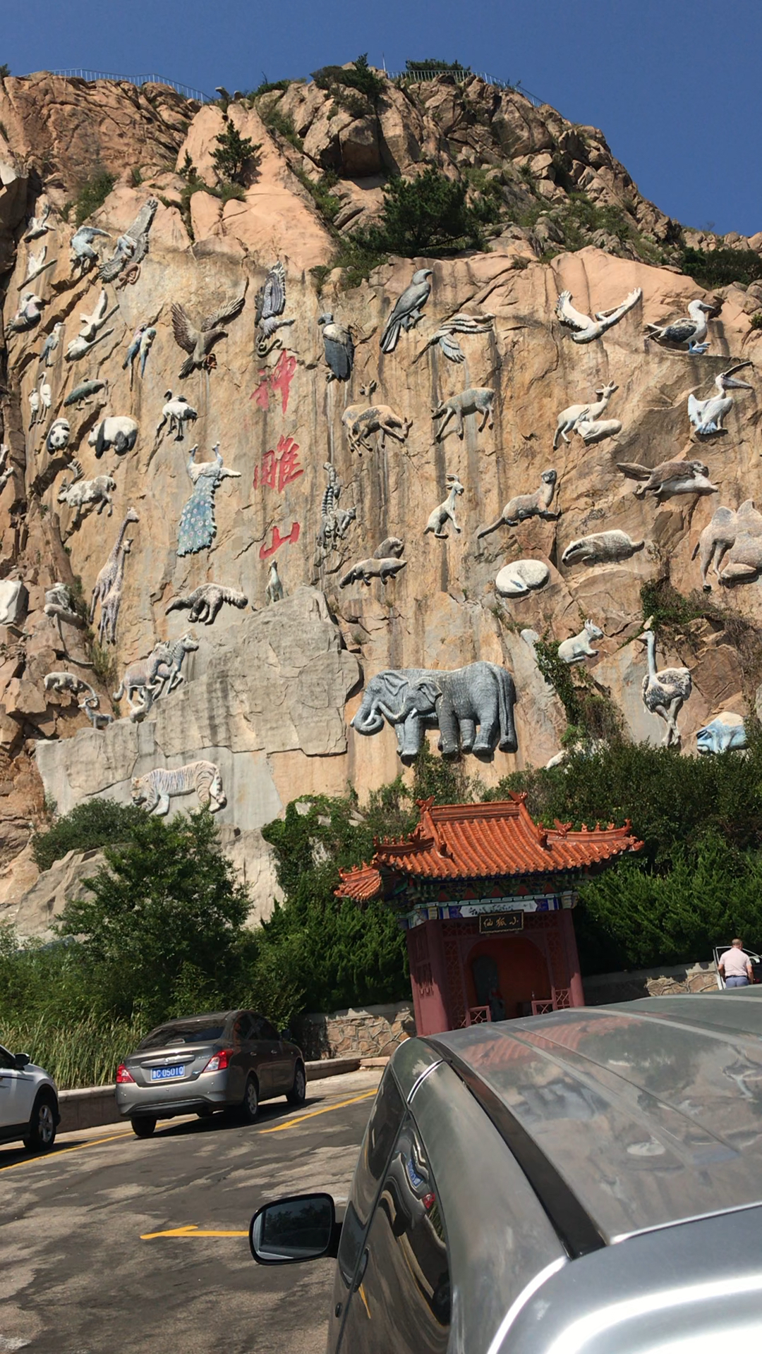 威海的神雕山野生动物园,不错的带孩子娱乐的地方.-度小视
