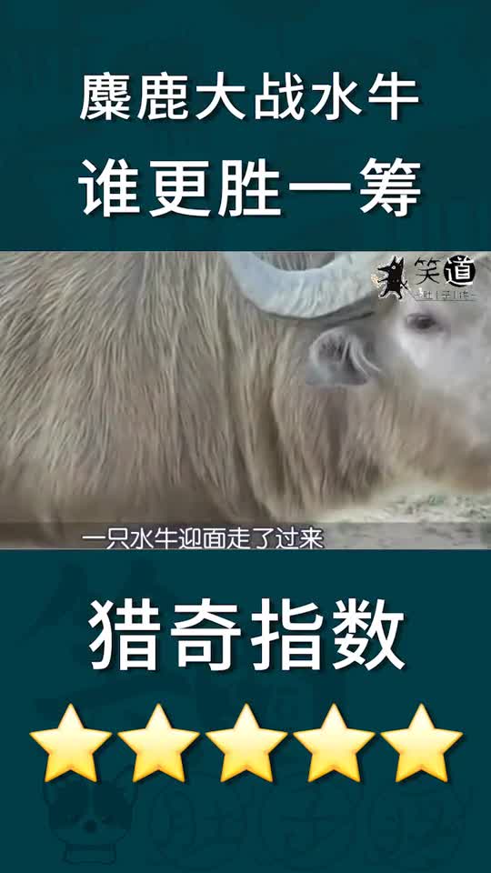 搞笑動物麋鹿死要面子活受罪哈